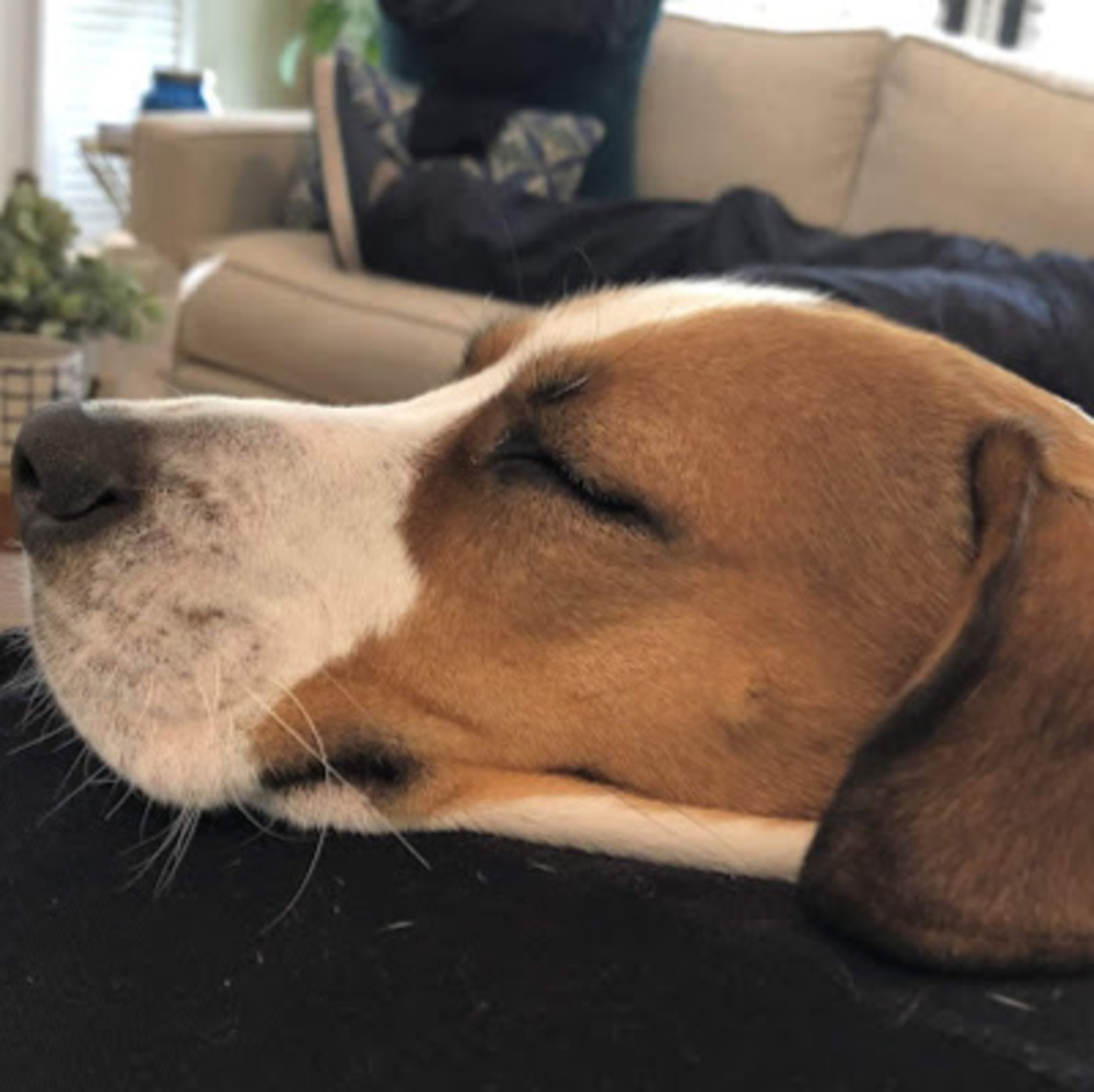 Meet your Posher, Ethan